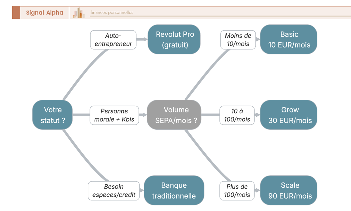 Arbre de décision à 4 niveaux guidant vers Basic, Grow, Scale, Revolut Pro ou banque traditionnelle selon statut et volume.
