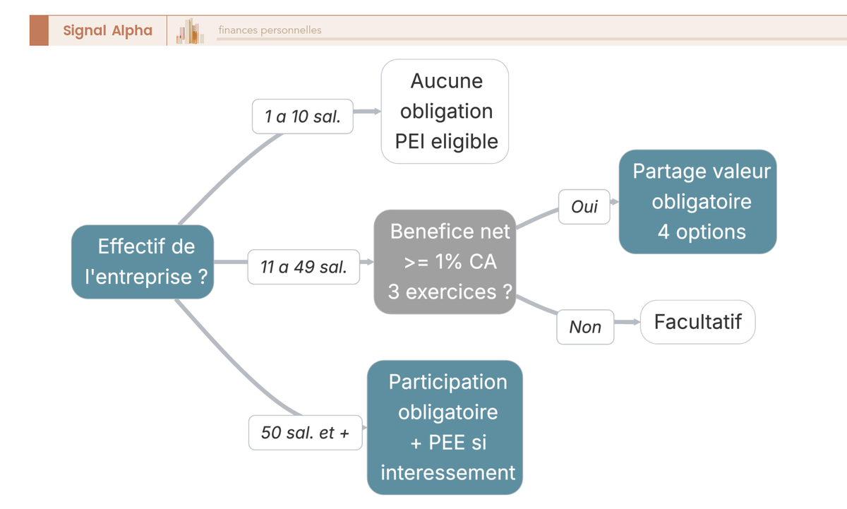 Arbre de décision en 3 niveaux guidant le dirigeant vers ses obligations légales en matière d'épargne salariale selon l'effectif de l'entreprise (plan épargne entreprise, PER collectif).