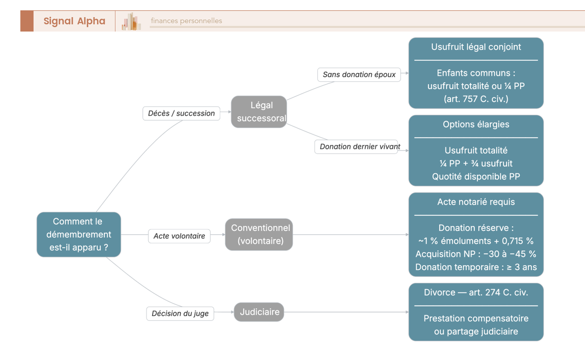 Arbre de décision à 3 branches identifiant l'origine du démembrement (légal, conventionnel, judiciaire) avec les actes requis et coûts approximatifs pour chaque source.