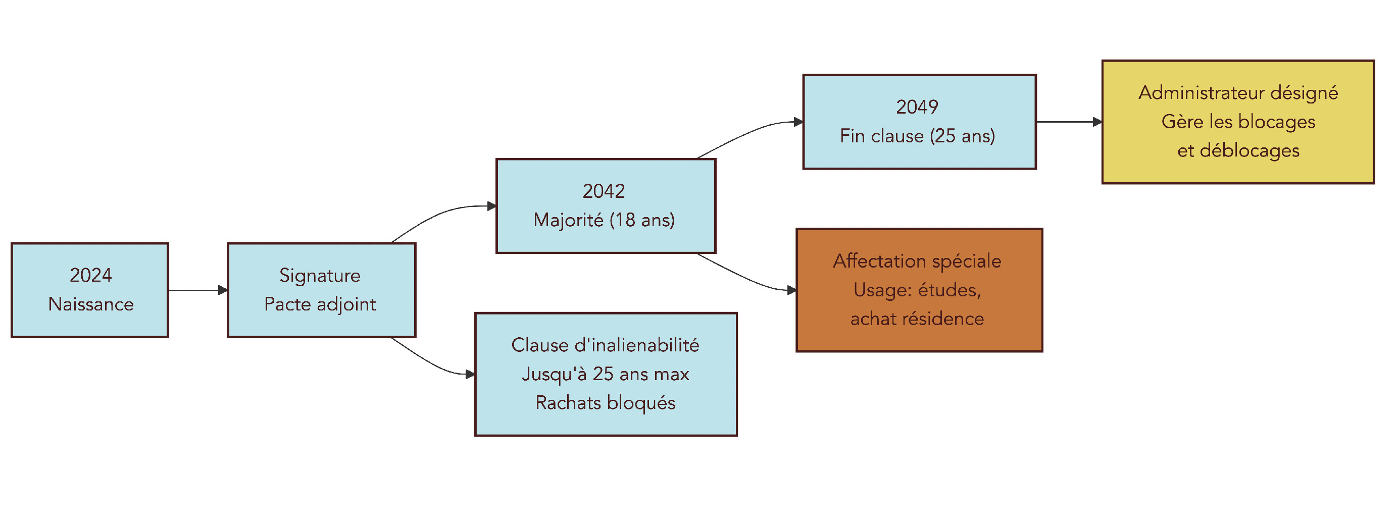 Frise chronologique illustrant un pacte adjoint appliqué à une assurance vie enfant, de la naissance à 25 ans, avec blocage des rachats, déblocages conditionnés aux études ou à l’achat de la résidence principale, et rôle d’un administrateur tiers.