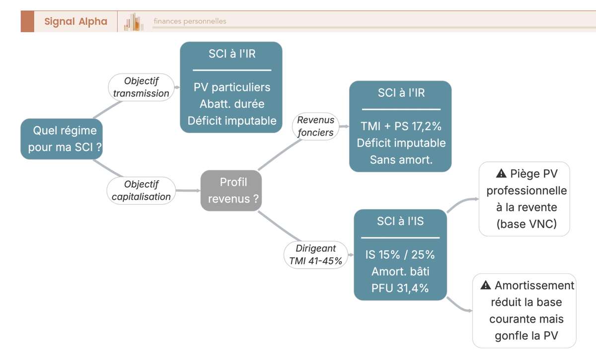 Arbre de décision SCI IR vs SCI IS selon horizon, exit, revenus et TMI, avec encarts d'alerte sur plus-value professionnelle et amortissement.