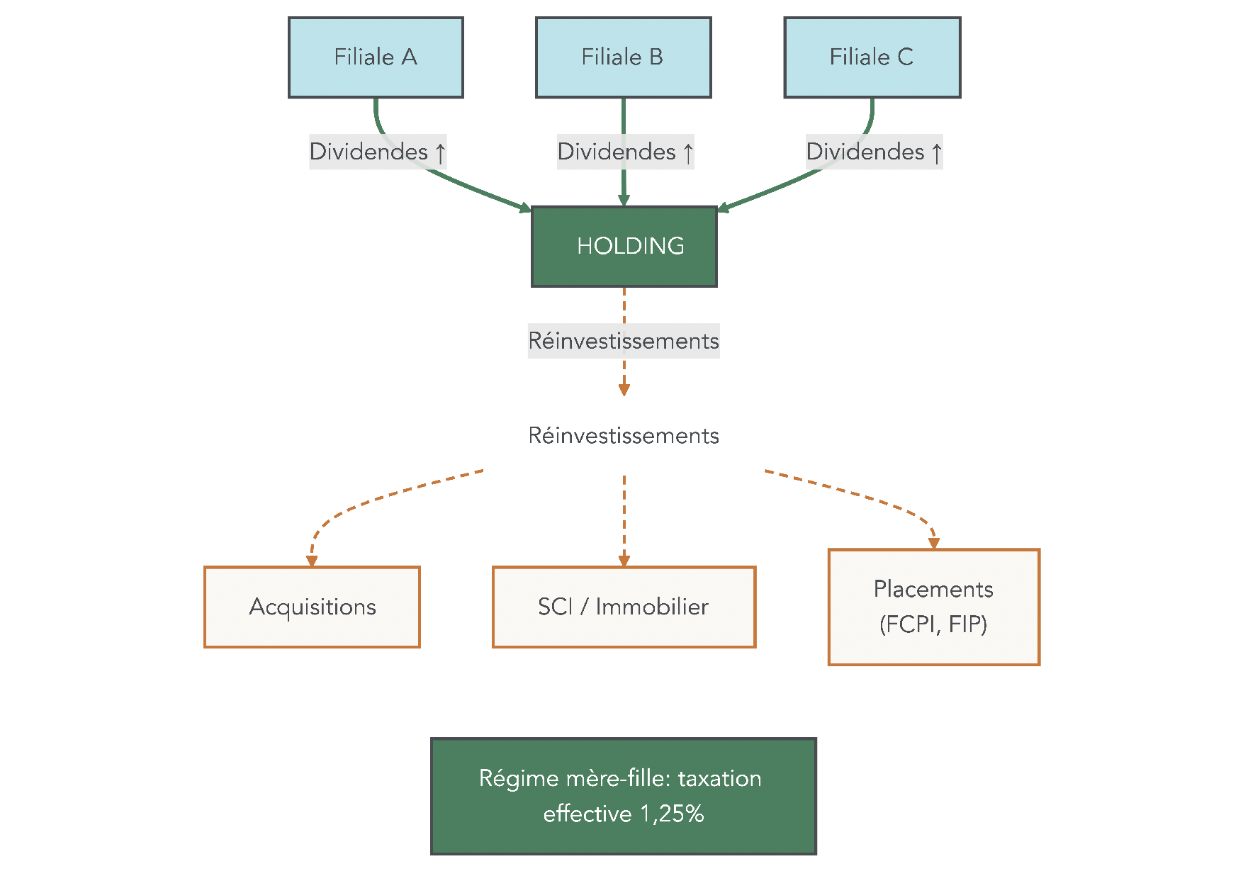 Schéma illustrant la circulation de la trésorerie dans un groupe avec holding, de la génération de bénéfices en filiales à la remontée de dividendes, puis au réinvestissement et aux prêts intragroupe.