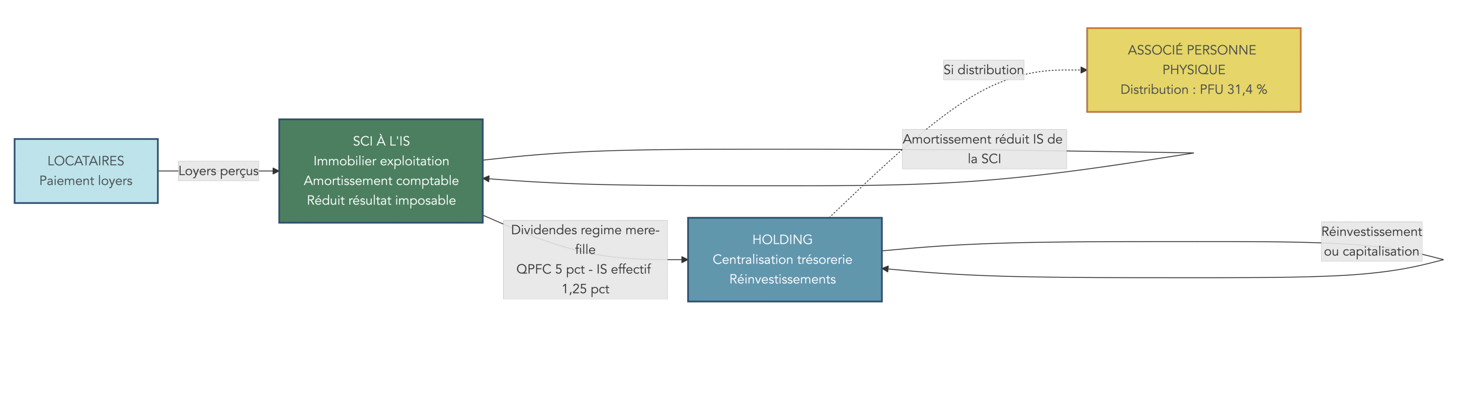 Schéma de flux illustrant les interactions entre une SCI à l'IS (loyers perçus, amortissement comptable réduisant le résultat imposable), la holding (remontée de dividendes, centralisation trésorerie) et la fiscalité (régime mère-fille sur remontée de dividendes).