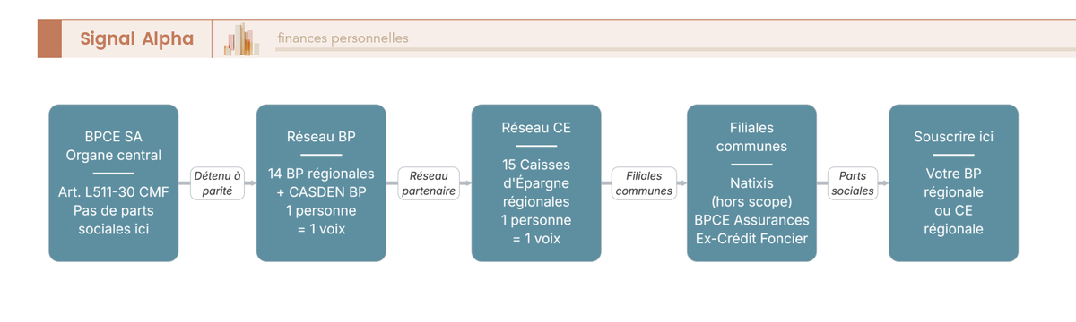Flowchart 3 niveaux : BPCE SA au sommet, 14 BP régionales au centre, filiales en bas ; souscription parts sociales uniquement au niveau régional.