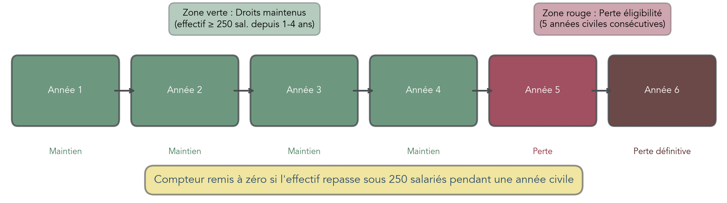 Timeline horizontale sur 6 années illustrant l'effet du franchissement du seuil de 250 salariés sur l'éligibilité du dirigeant au PEE : années 1-4 = maintien des droits (zone verte), année 5 = perte d'éligibilité (zone rouge), et indication que le compteur est remis à zéro si l'effectif repasse sous 250 pendant une année civile.