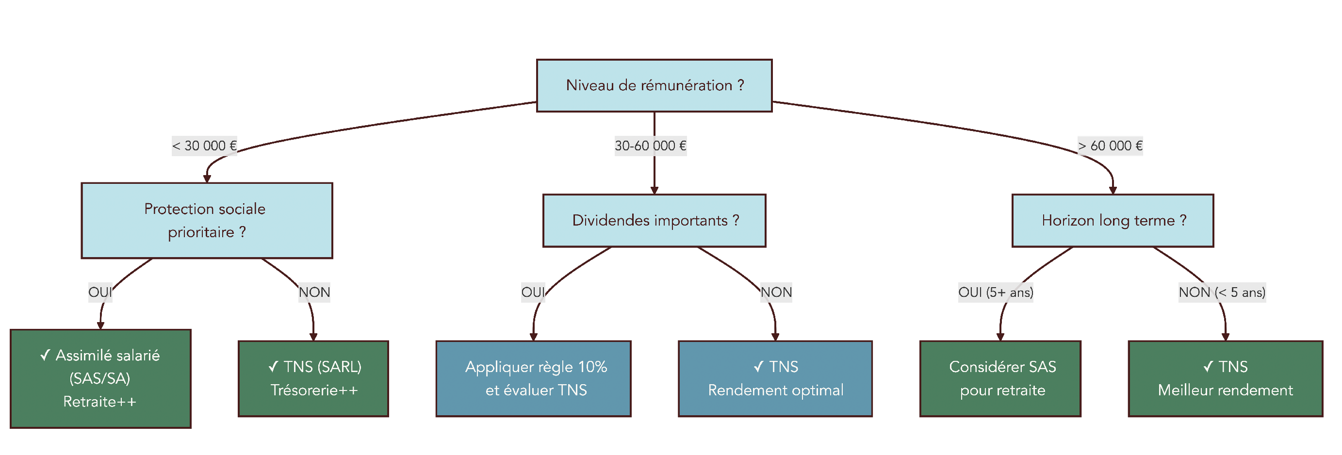 Arbre de décision guidant le choix entre assimilé salarié et TNS selon le niveau de rémunération, l’importance de la protection sociale, la stratégie de dividendes et l’horizon de projection.