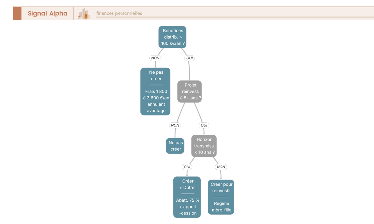 Arbre de décision filtrant la pertinence d'une holding patrimoniale selon dividendes, projet de réinvestissement et horizon transmission.