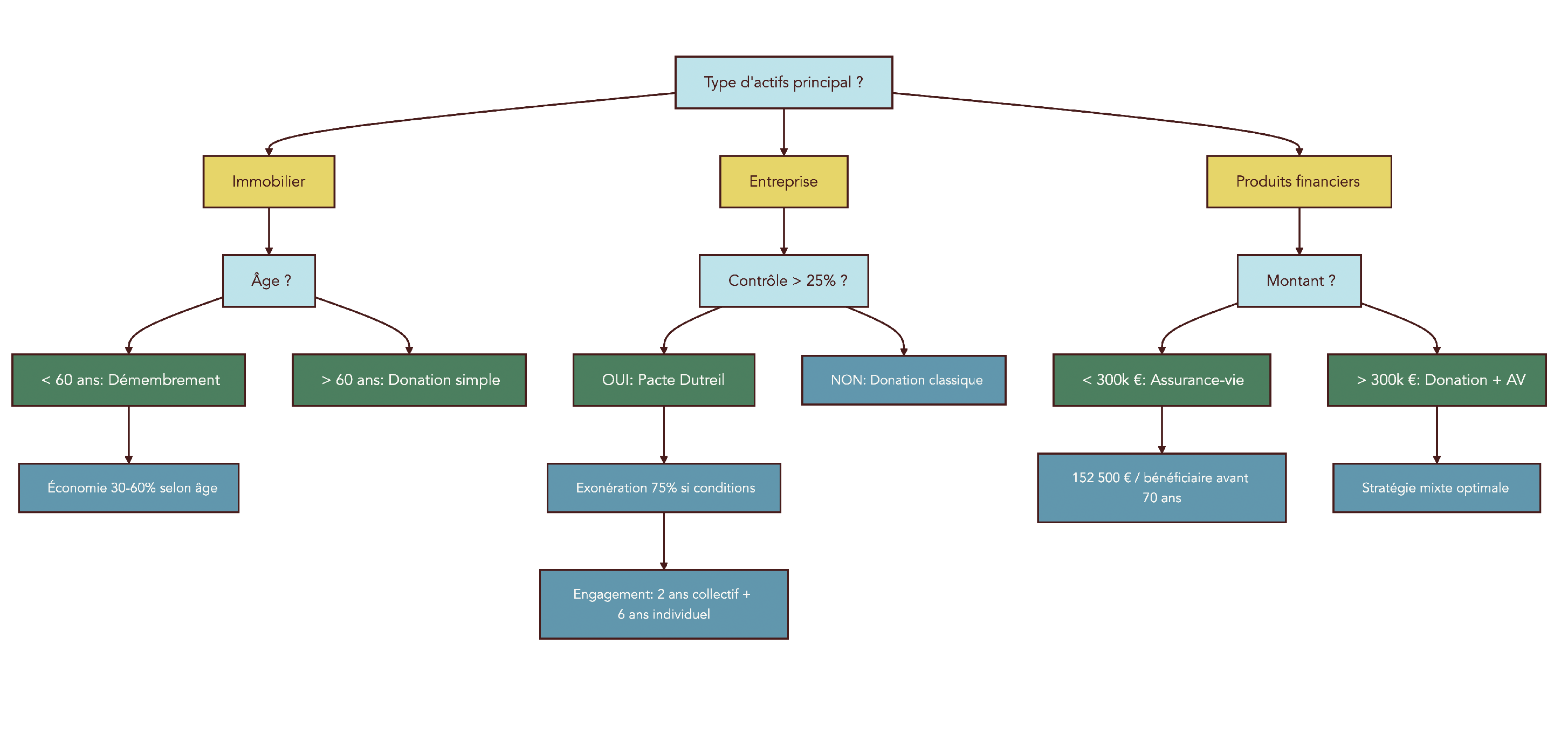 Arbre décisionnel complexe guidant le lecteur vers la stratégie de transmission la plus adaptée (donation simple, donation-partage, démembrement, assurance-vie, Pacte Dutreil, groupements forestiers) en fonction de l'âge, du type d'actifs, du nombre d'héritiers et des objectifs (optimisation fiscale, égalité, transmission d'entreprise)